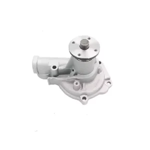 واتر پمپ بایک سابرینا