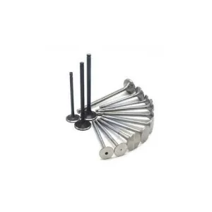 سوپاپ دود و هوا بایک سابرینا