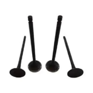 سوپاپ دود و هوا اصلی آمیکو آسنا