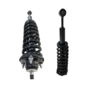 کمک جلو چپ آمیکو آسنا